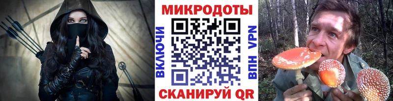 Галлюциногенные грибы Psilocybe  где найти   Калининец 